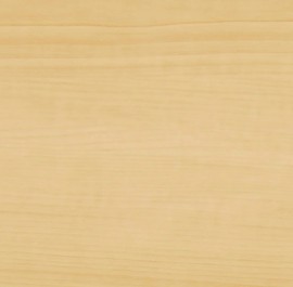 Sugar Maple 0548