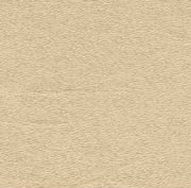 Beige 0117